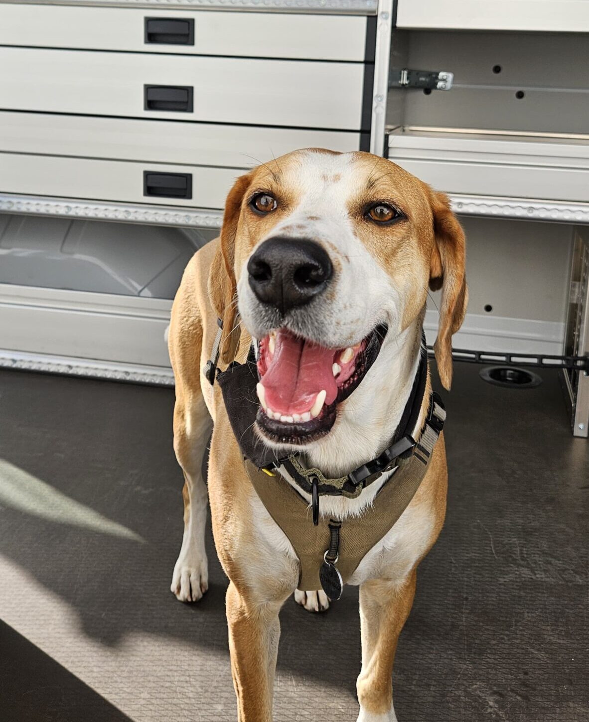 Unser Mitarbeiter für Qualitätssicherung